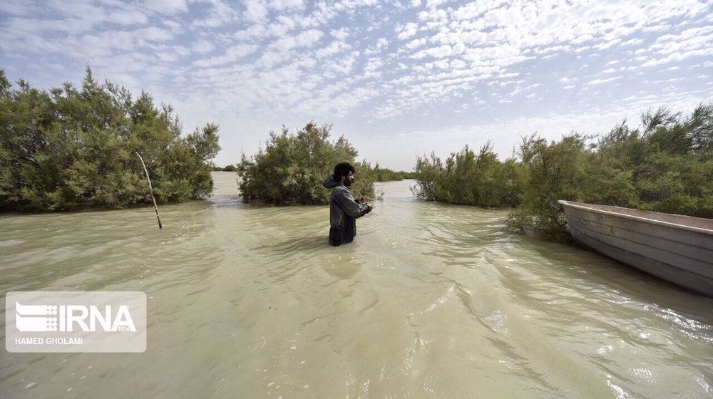 Iran’s province to expel refugees if Taliban fails to supply water: MP