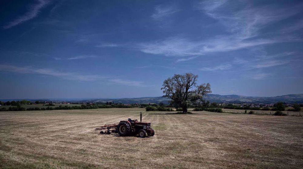 L'année 2022 a été la plus chaude jamais enregistrée en France