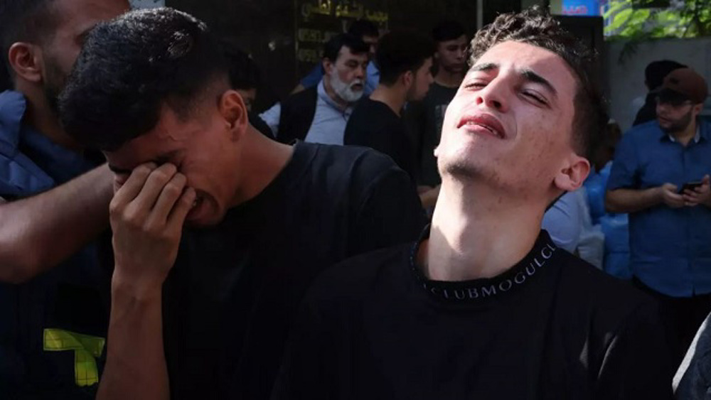 UN rapporteur slams EU support for Israeli aggression on Gaza