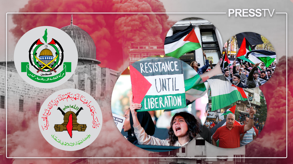 The liberal narrative of Palestinian resistance against Zionist occupation 