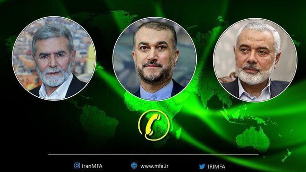 Iran reaffirms support for Palestine, urges immediate end to Israeli genocide