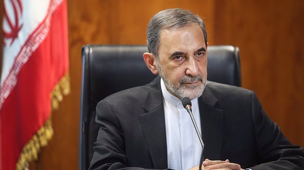 Leader’s advisor: Palestine's successful operation accelerates collapse of Israel