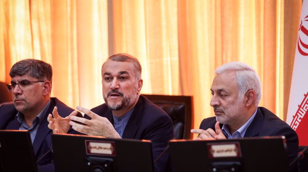 Resistance calibrating pressure on Israel and backers: Iran FM