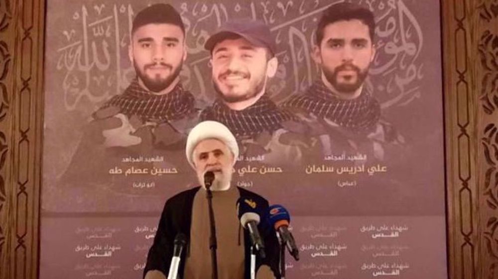 Hezbollah warning: Strikes on Israel to continue as long as Gaza genocidal war rages 