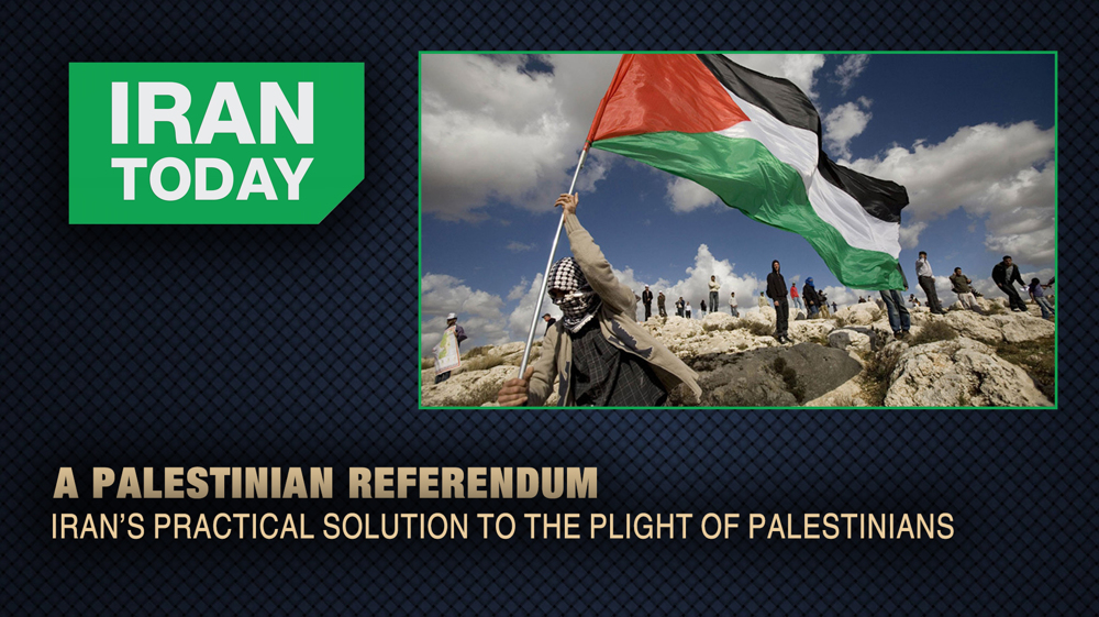The Palestinian referendum