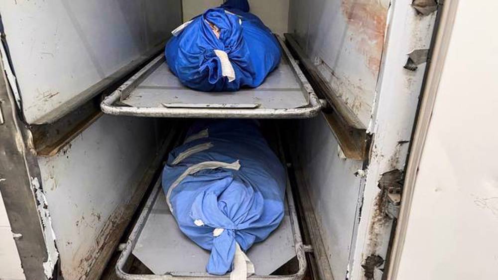 'Bloodbath': WHO slams Israeli aggression in Gaza's al-Shifa hospital 