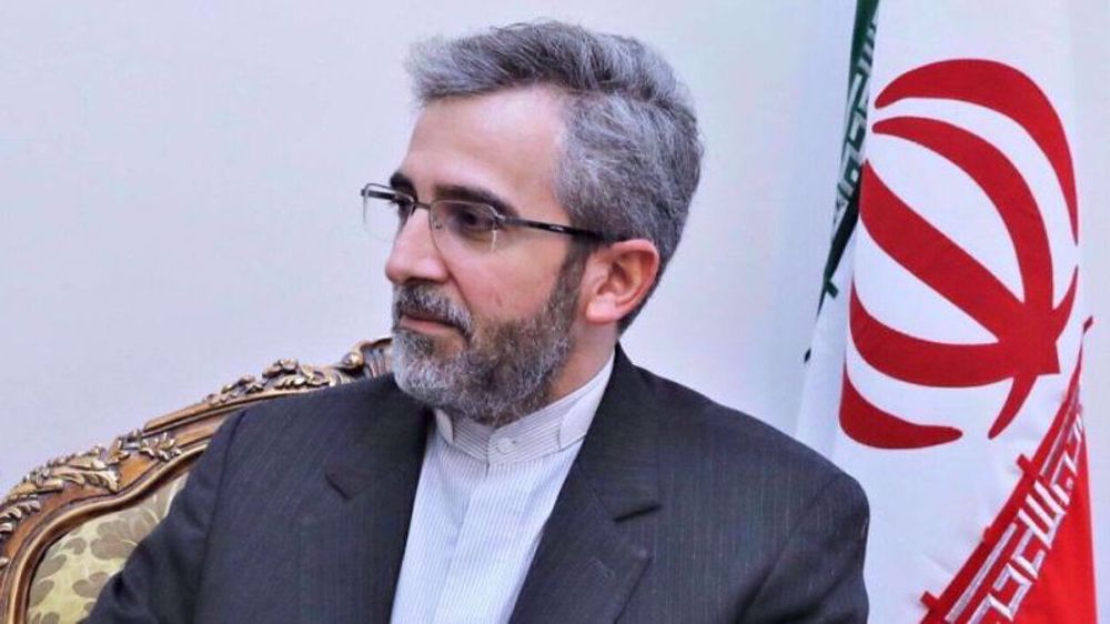 Yemen acting independently regarding anti-Israel operations: Iran