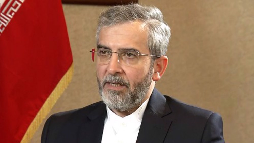 ‘Gaza war not only rights violation, but obliteration of mankind; US rights claims bogus’