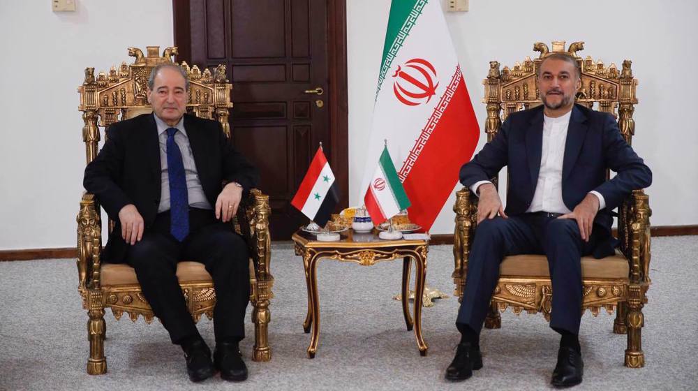 Iran, Syria unite in call to end Israeli genocide in Gaza: FM 