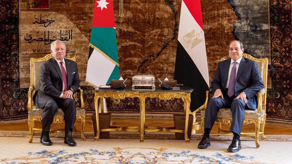 Jordan, Egypt reject any Israeli move to expel Palestinians from Gaza
