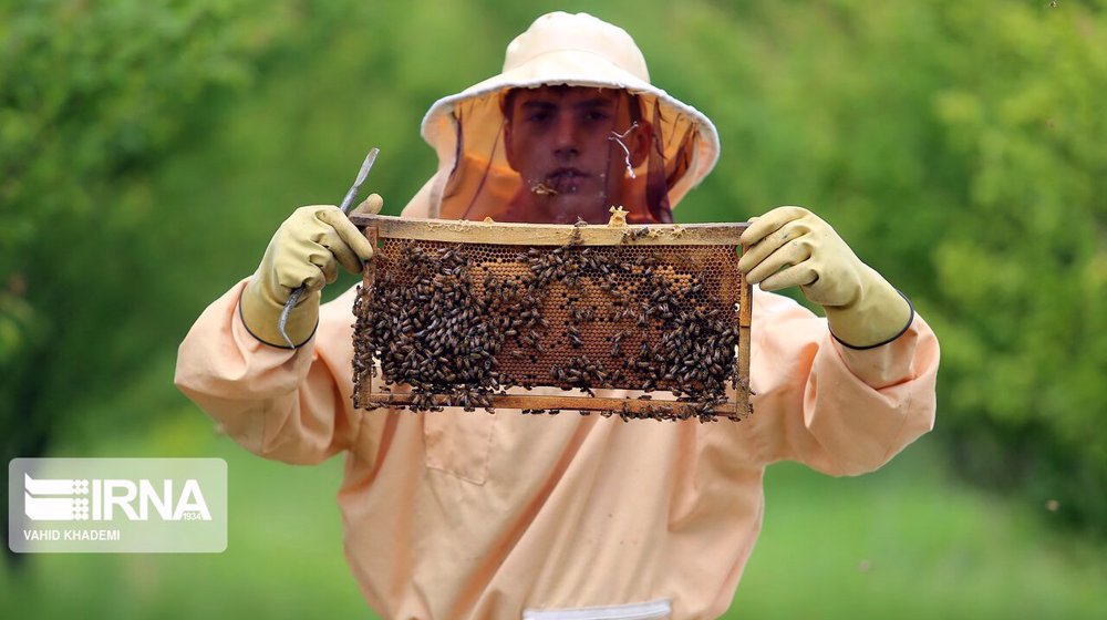 Iran prepares to export large shipment of honey to China