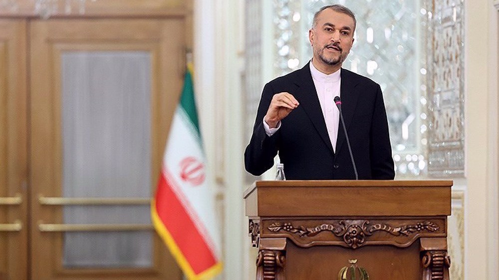 Support for MKO shows insatiable US appetite for destroying Iran: FM