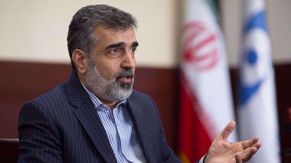 AEOI spox: IAEA director general to visit Iran in coming days