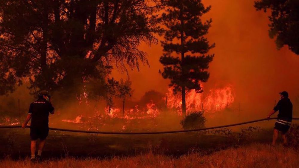 At least 24 dead in Chile as wildfires expand across country