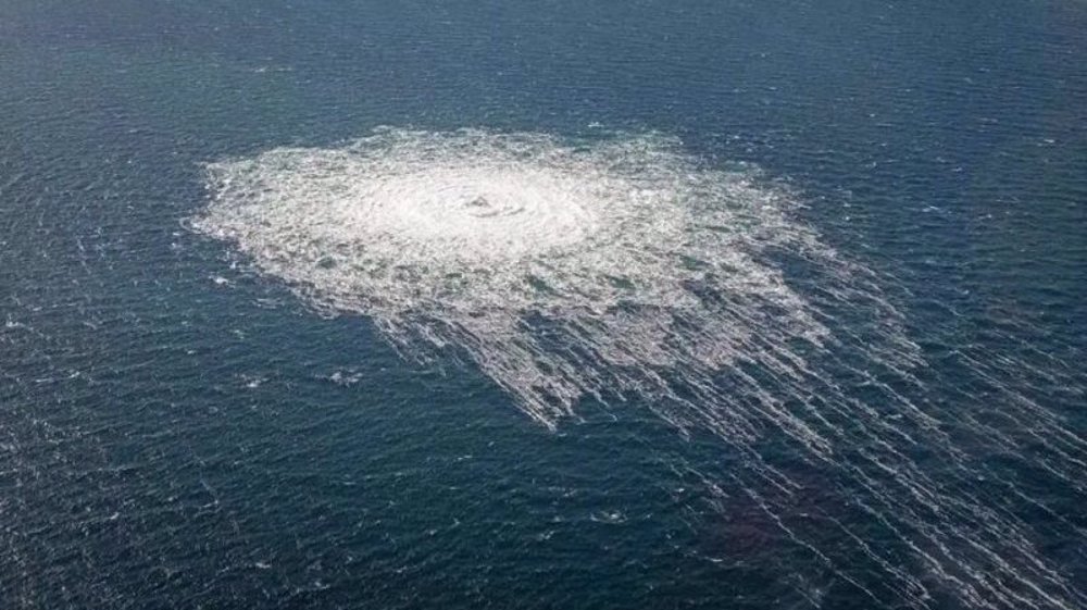 US Navy bombed Russia's Nord Stream pipelines, says journalist 