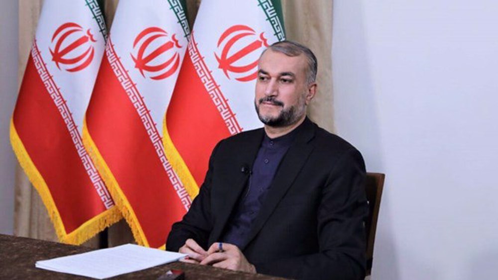 Iran FM: Some EU states miscalculated about recent riots  