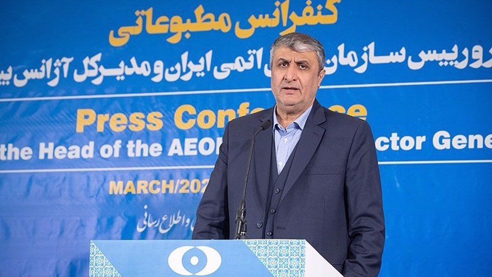 AEOI head: Iran's actions based on parliament’s strategic law, Safeguards, NPT 