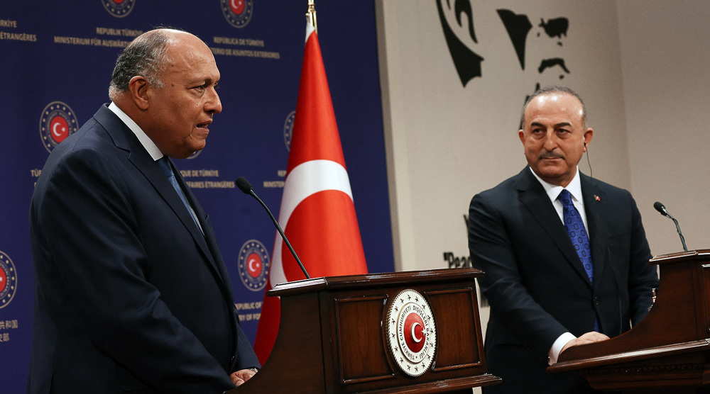 Egypt urges Turkish troop withdrawal from Syria