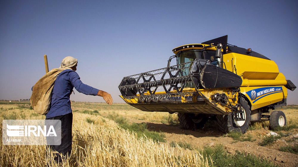 Iran raises guaranteed purchase price for wheat by 15%
