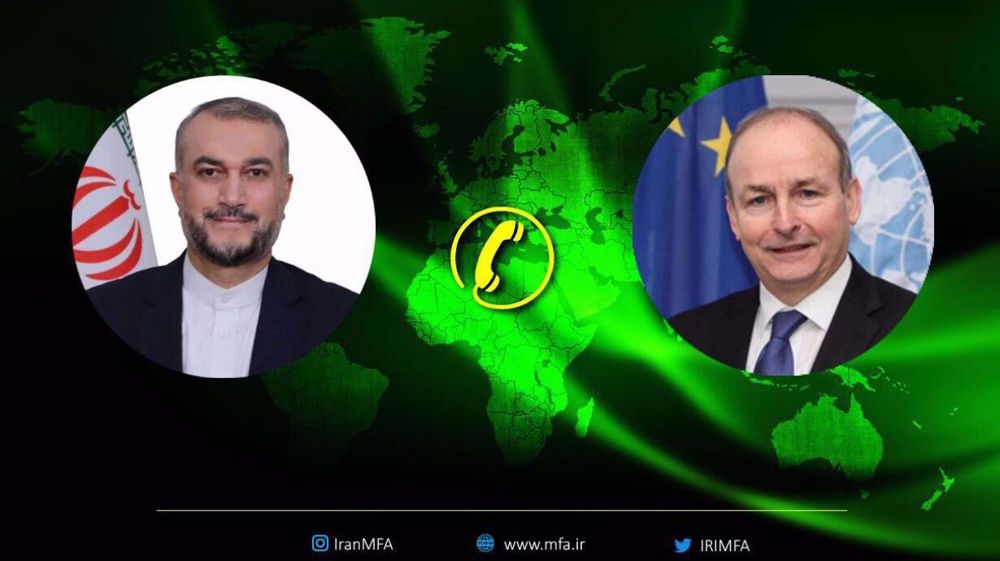 FM: Ireland has no interest in making unfounded judgments against IRGC 