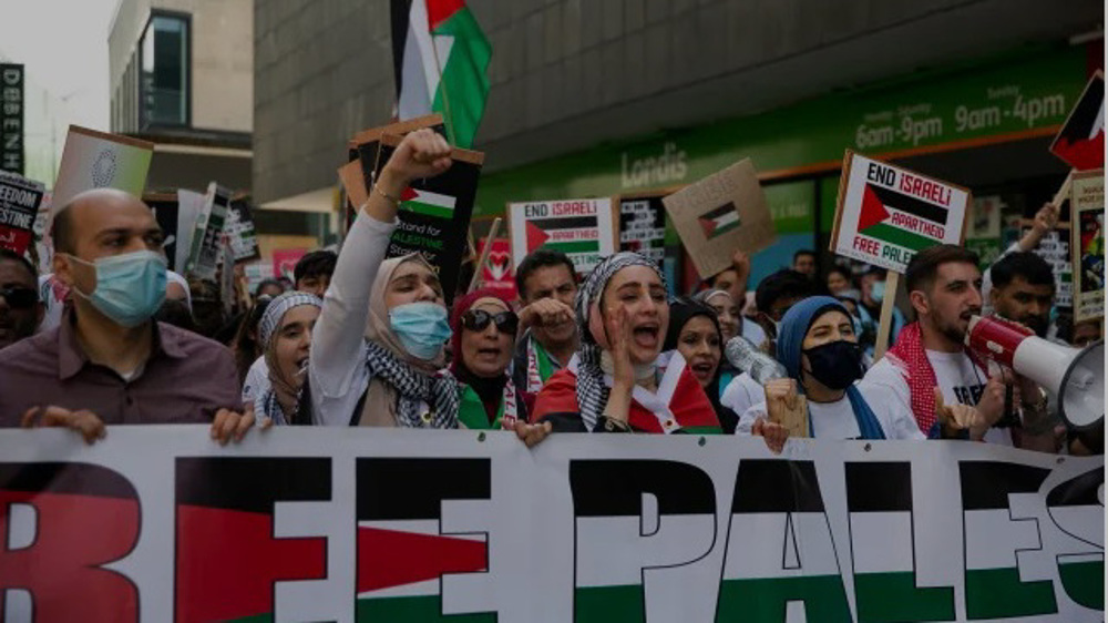 Muslims and Palestine