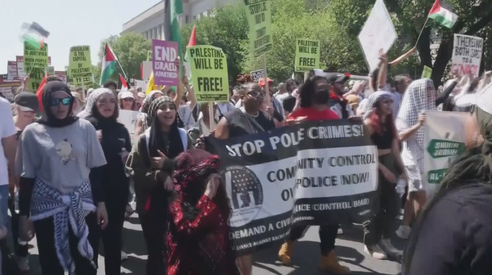 Protesters mark Nakba Day in Washington, DC to slam Israeli atrocities