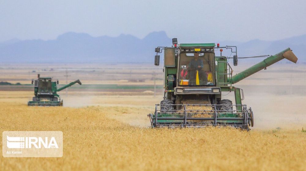 Iran’s domestic wheat purchases at 2.9 mln mt in April-May