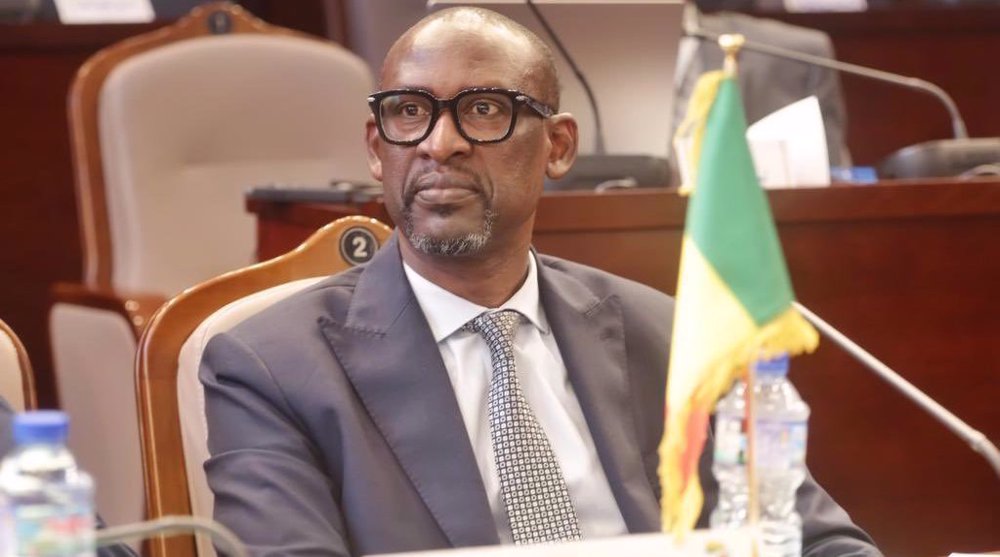 Le Mali présent à l’alliance politique africaine au Togo