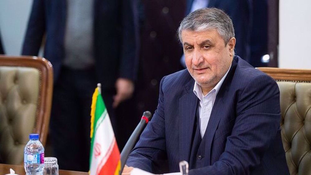 Iran recorded 159 nuclear achievements last year despite US bans: Nuclear chief