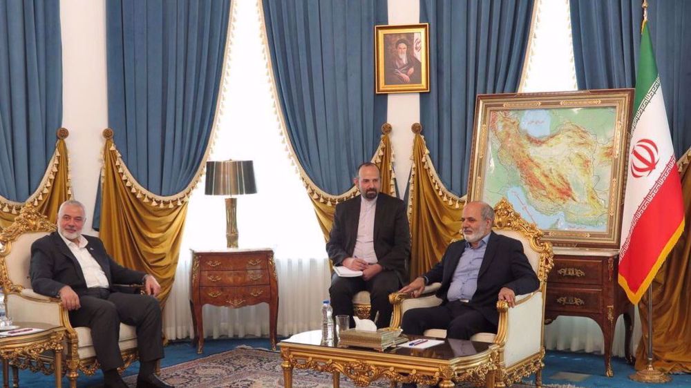 Resistance ‘most effective strategy’ to end Israeli occupation of Palestine: Iran security chief