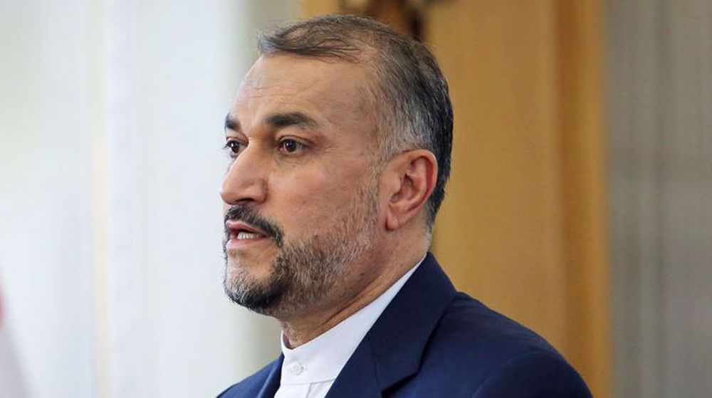 BRICS members welcome Iran's potential accession: FM 