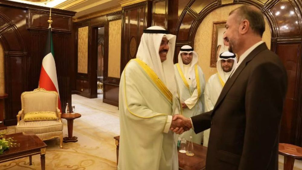 FM: Development of ties with neighbors Iran's top priority
