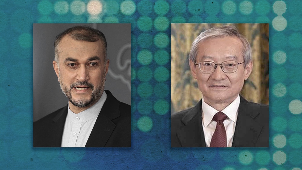 Iran's SCO membership will generate growing capacity: FM