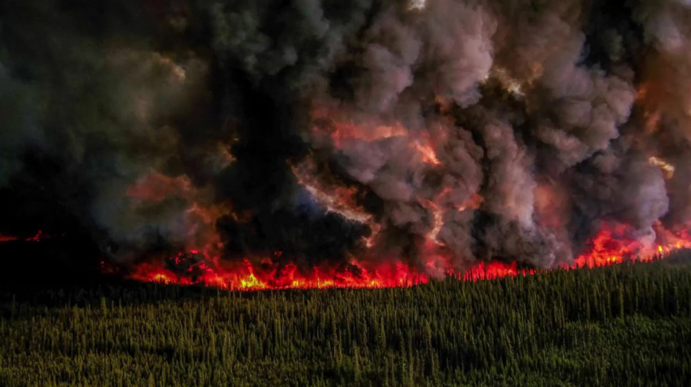 US East Coast blanketed in eerie veil of smoke from Canada fires