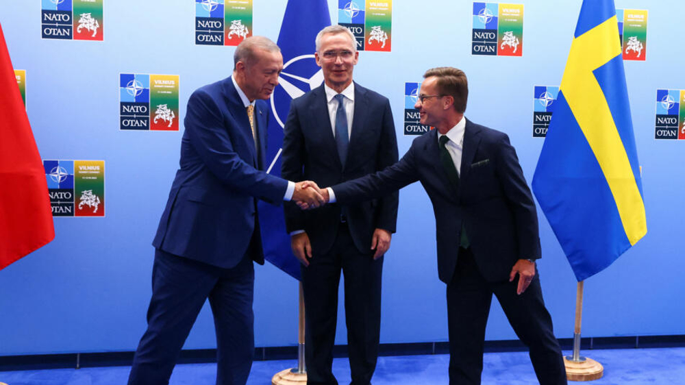 Turkey's president gives green light to Sweden's NATO accession bid