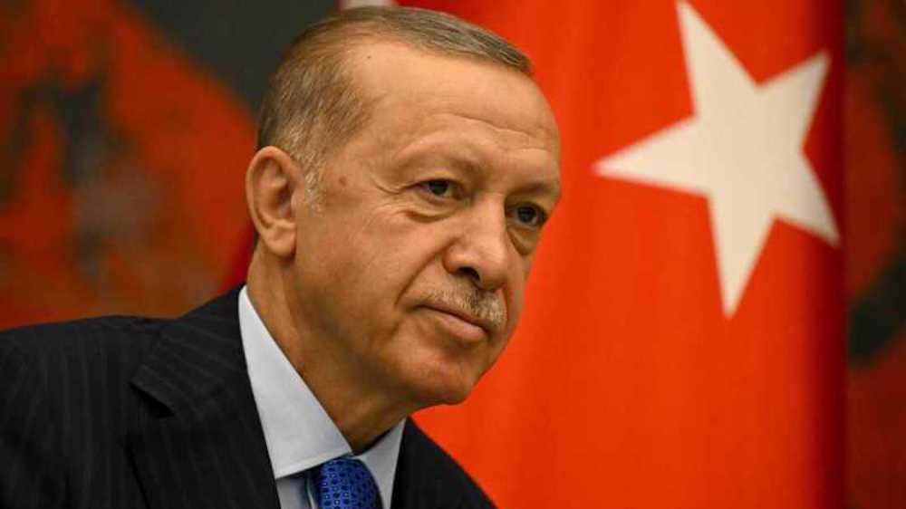 Erdogan: Putin's proposals on Ukraine grain deal under discussion 