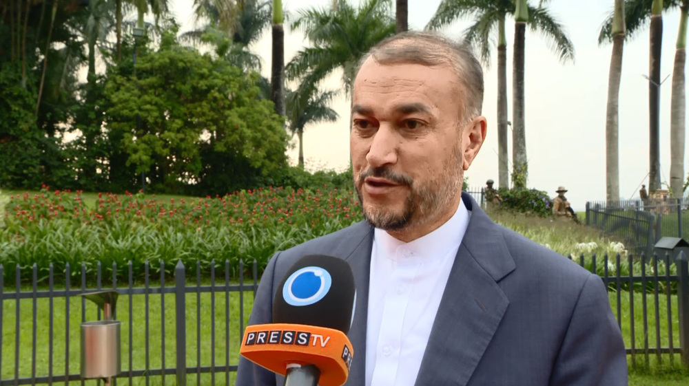 Exclusive: FM says Iran seeks to transfer tech to Africa, empower the continent