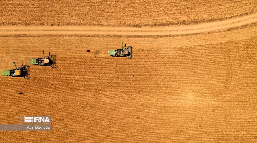 Iran’s grains storage rose 5.9% in 2022: FAO