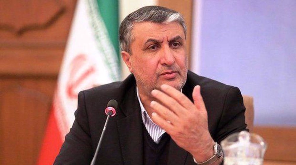 Iran makes nuclear reactor simulator for first time: AEOI chief