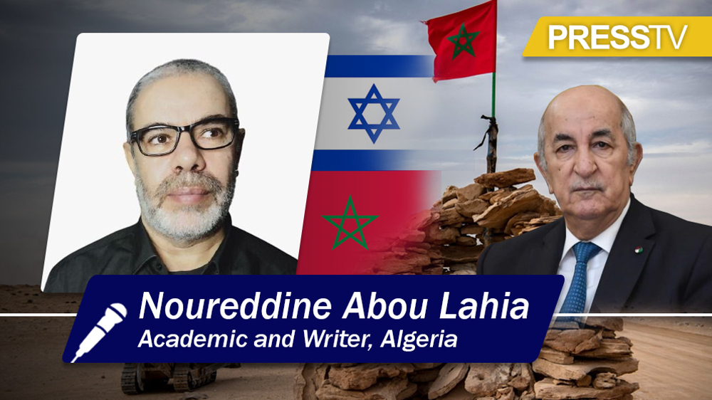 Israeli support for Morocco on Western Sahara designed to stoke conflicts: Academic