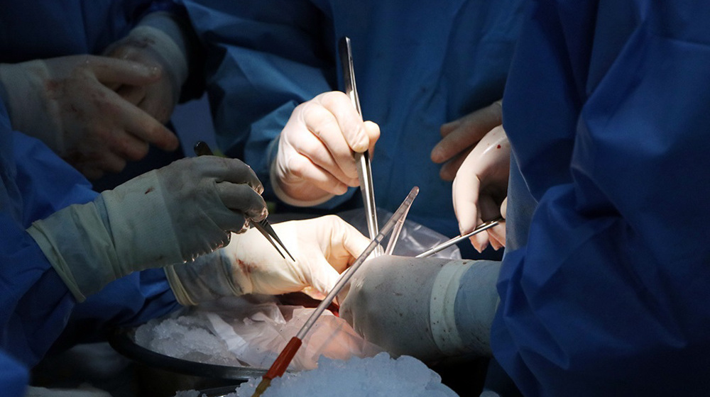 Iran leads organ donation in West Asia, performs all types of transplants