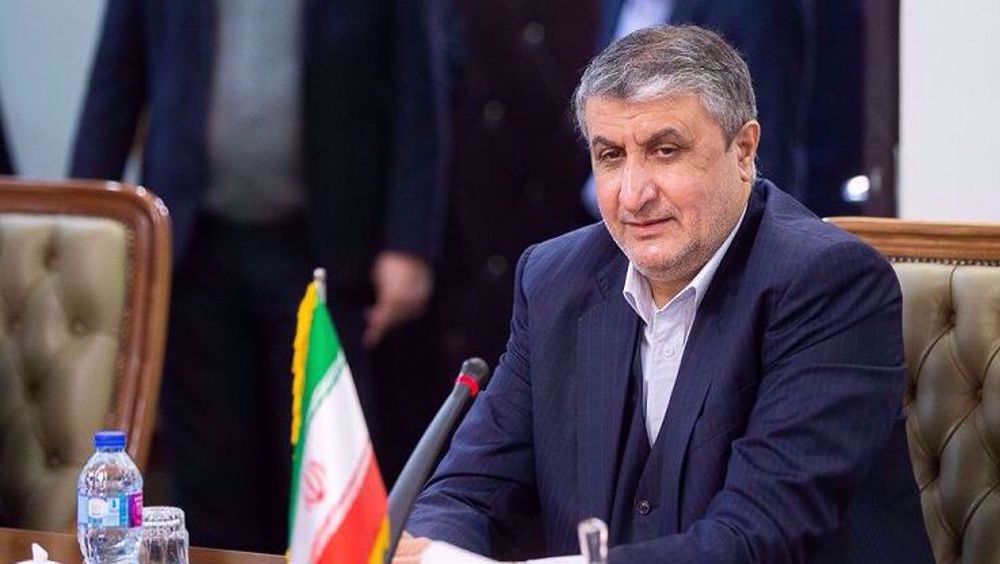 Nuclear chief says ‘much demand’ for Iran’s heavy water across world
