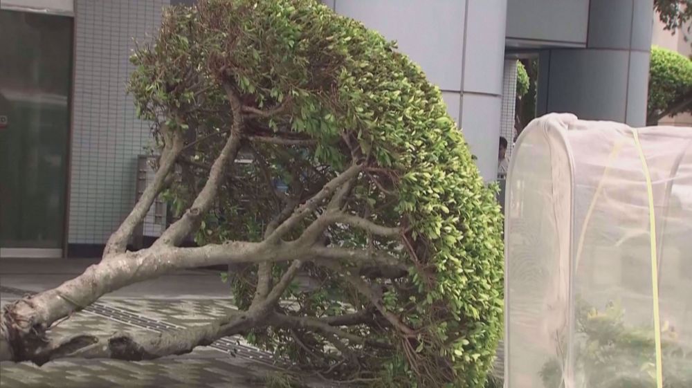 Typhoon Khanun kills two in Japan as 166,000 homes lose power
