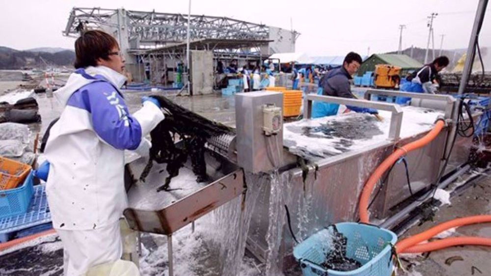 Japanese firms hit by China's seafood ban: Report