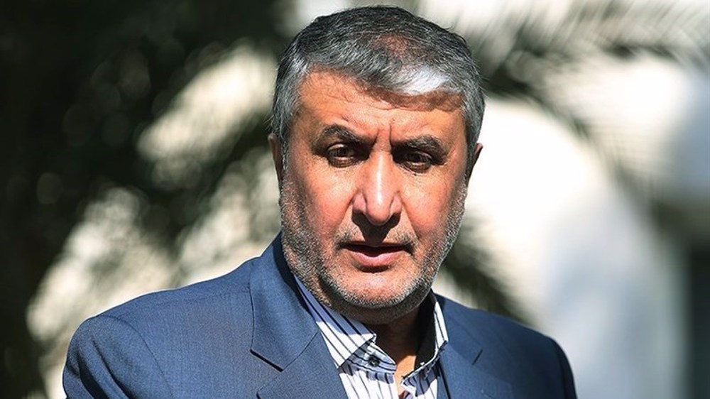 Iran nuclear technology has overcome 20 years of sabotage: AEOI chief 