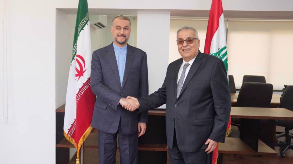 Iran-Lebanon economic ties unfazed by US sanctions: FM