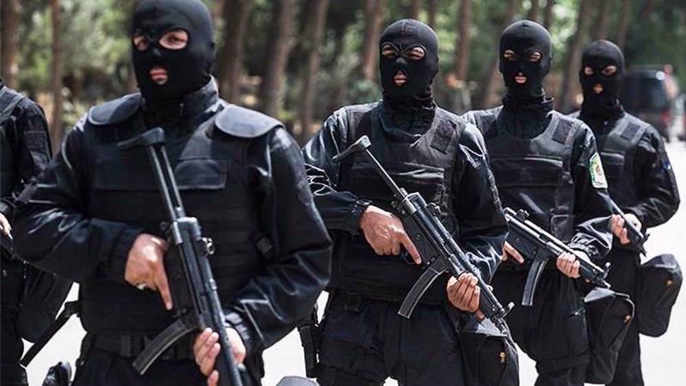 Members of anti-revolutionary group arrested in Sistan and Baluchestan 