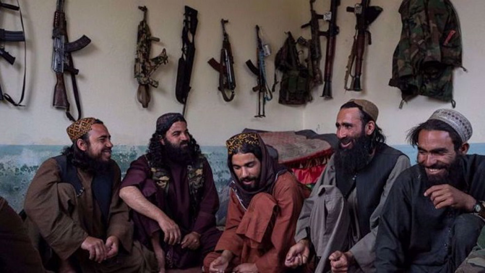 Afghanistan’s drug trade continues surging under Taliban rule: Report 