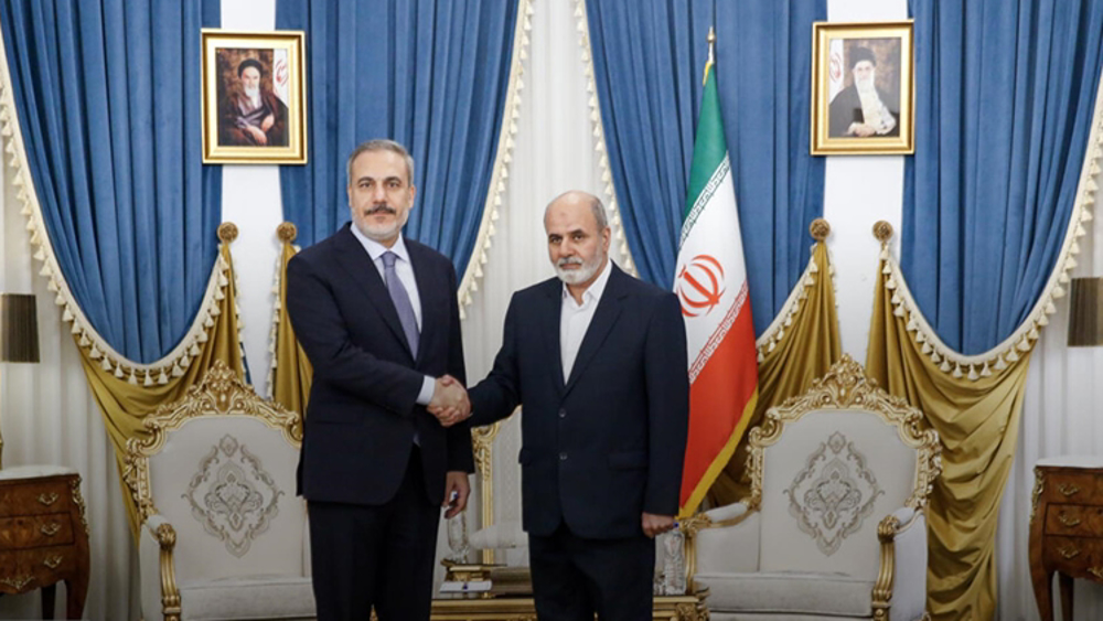 Iran: Indigenous mechanisms, regional cooperation guarantee sustainable security