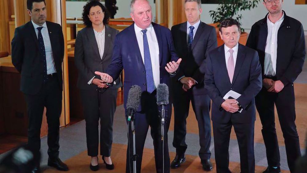 Australian MPs to visit US in solidarity with Julian Assange